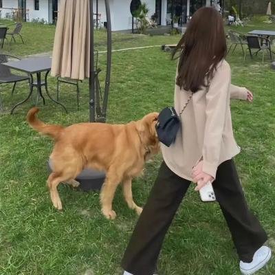 捉鬼敢死队：未来世